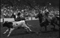 Ewing & Clegg Team roping