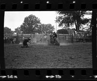 Tommy Combs Calf roping
