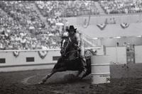 Kay Proctor Barrel racing