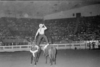 Jerry Wayne Olsen Trick riding