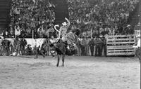 Unidentified rider on unknown mount