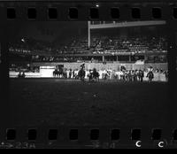 Howard Manuel Steer wrestling