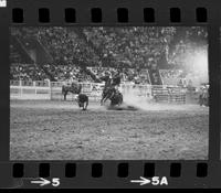 Rudy Bryant Calf roping