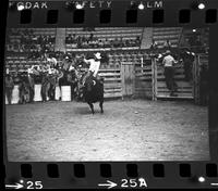 Ronnie Bowman on Bull #81