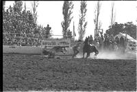 Roy Durfey Calf roping