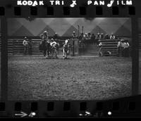 Ron Conatser Steer wrestling