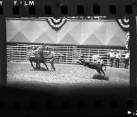 Barry Burk Calf roping