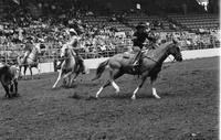 Boatright & Sailors Team roping