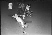 Unidentified Rodeo clowns bull fighting with Bull #JJ6