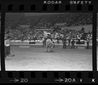 Bobby Berger on Bull #1