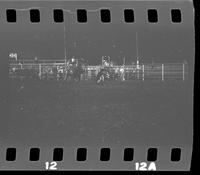 [No log sheet; unknown steer wrestlers and calf ropers]