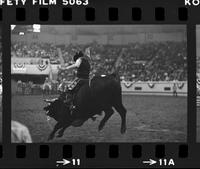 Randy Magers on Bull #89
