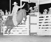 Jim McReynolds on Bull #T11