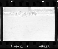 Vic Baldwin Steer wrestling