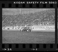 Unidentified Rodeo clown Bull fighting