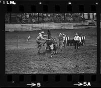 Rolla Hade Calf roping