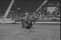 Barry Burk Calf roping