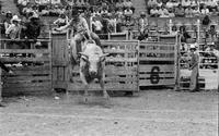 Bob Moellman on Bull #27