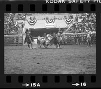 Tom Ferguson Steer wrestling