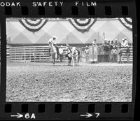 Ron Conatser Steer wrestling