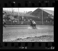 J.W. Farrington Calf roping