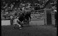 Cole Tindol on Bull #-3