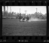 Curtis Coomes Steer wrestling