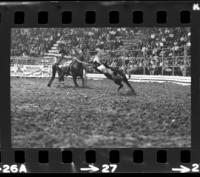 Zane Tibbetts Calf roping, 3rd Perf.