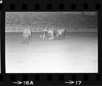 Rodeo clowns Glen Urban & Kajun Kid Bull figjhting with Bull #29