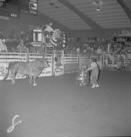 Rodeo clowns Tatum & Clayman Bull fighting