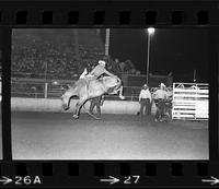 Sandy Kirby on Copper Canyon