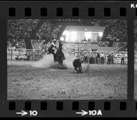 Dane Tubesing Calf roping