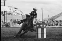 Ann Beissinger Barrel racing