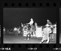 Lyle Sankey on Saddle bronc #74