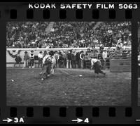 Unidentified Rodeo clown Bull fighting