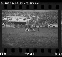 Unidentified Rodeo clown Bull fighting