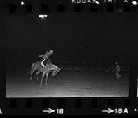 Bill Stalhmer saddle bronc riding #91