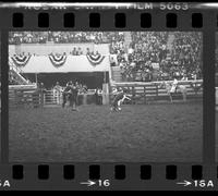 Barry Burk Calf roping