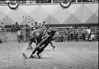 Mike Gould Calf roping