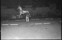Billy Buschbom & horses