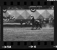 Robt. Marsh Calf roping