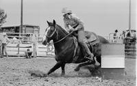 Unidentified Barrel racer