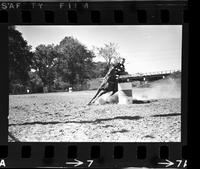 Unidentified Barrel racer