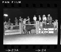 Larry Gann on Bull #F