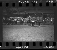 Linus Thornton Steer wrestling