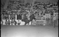 Jack Faulk on Bull #2