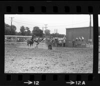 Bob Rochelle Calf roping