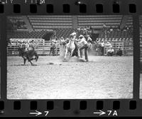 Cleo Hearn Calf roping