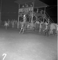 Rick Ashley on Saddle bronc #66