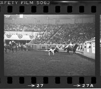 Evetts & J. Camarillo Team roping